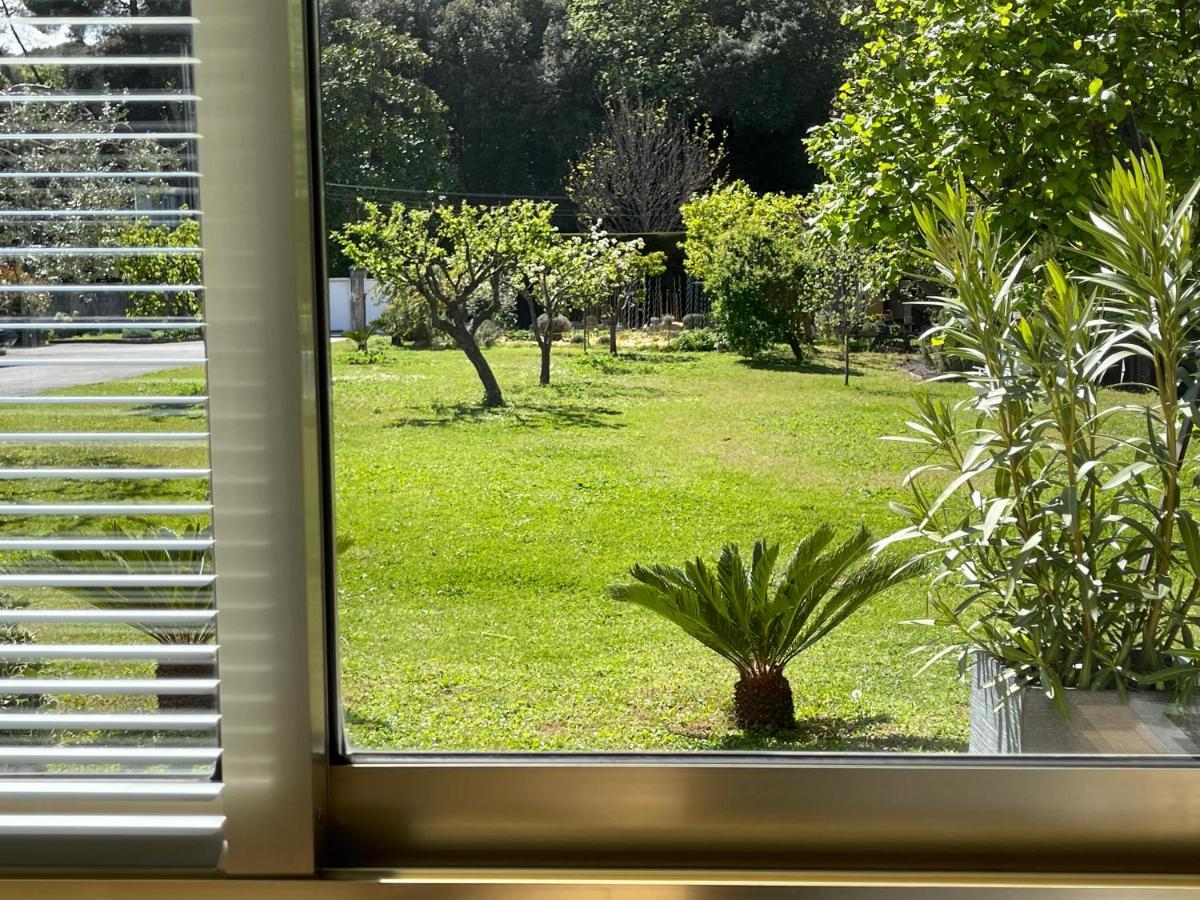 Studio Tout Confort Au Calme Avec Jardin Proche Cannes Le Cannet Eksteriør billede