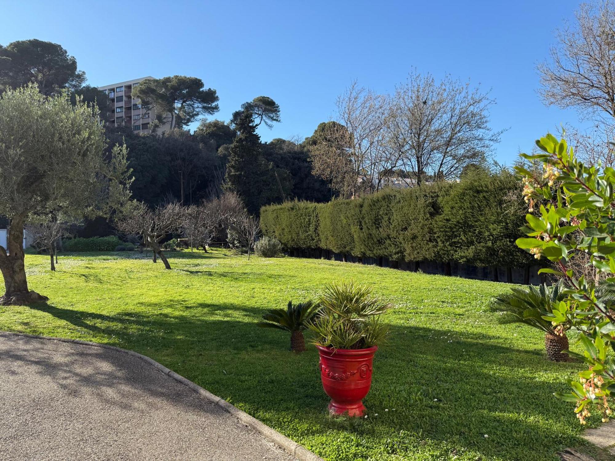 Studio Tout Confort Au Calme Avec Jardin Proche Cannes Le Cannet Eksteriør billede